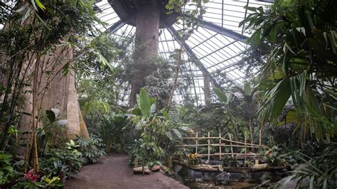 Omahas Henry Doorly Zoo Announces Reopening Of The Lied Jungle And