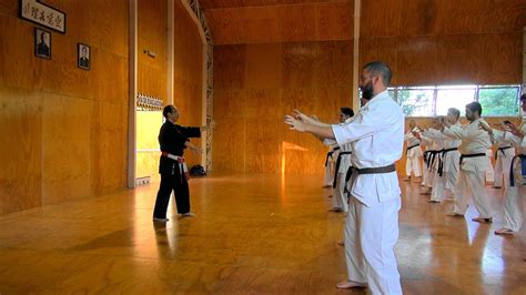 Karate Shito Ryu Katas Posiciones Y Todo Lo Que Necesita Saber