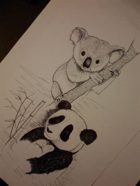 Panda Y Koala By Dicipulo01 On Deviantart