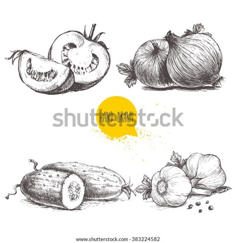 Conjunto De Verduras Tipo Boceto Dibujado A Mano Tomates En Rodajas