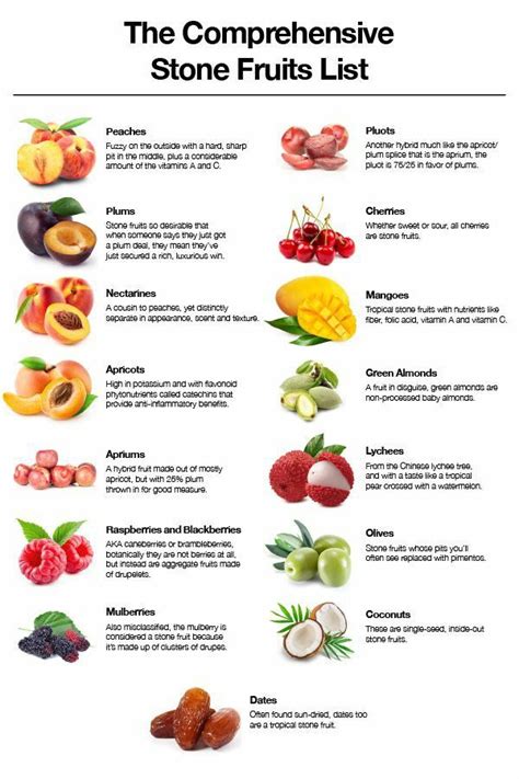 Stone Fruit Chart Stone Fruits List Fruit List Stone Fruits