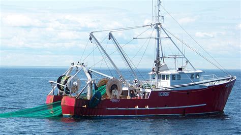 Us Fishing Generated More Than 200b In Sales In 2015 Two Stocks
