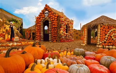 The Best Pumpkin Patches To Get Halloween Ready In La And Beyond