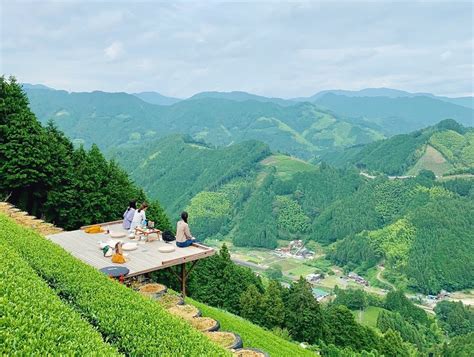 The Holiday And Travel Magazine Scenic Tea Plantations In Shizuoka
