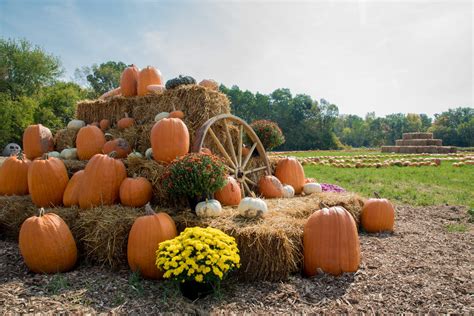 Fall Harvest Display With Pumpkins And Hay On The Farm Windermerenorth