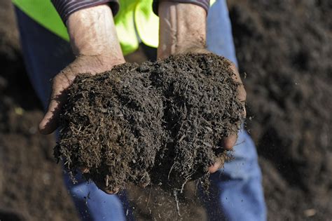 How to fix a dirty bulk. Where to Buy Top Soil and Compost in Bulk