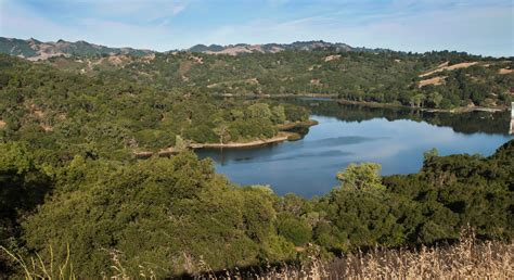 8 Hiking Trails With The Best Views Near Moraga And Lafayette