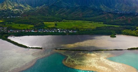 Why Is Heeia Fishpond So Important To The Ecosystem Of Hawaii