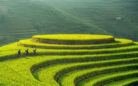 10 Best Places To Visit In Vietnam In 2022 With Map And Poll