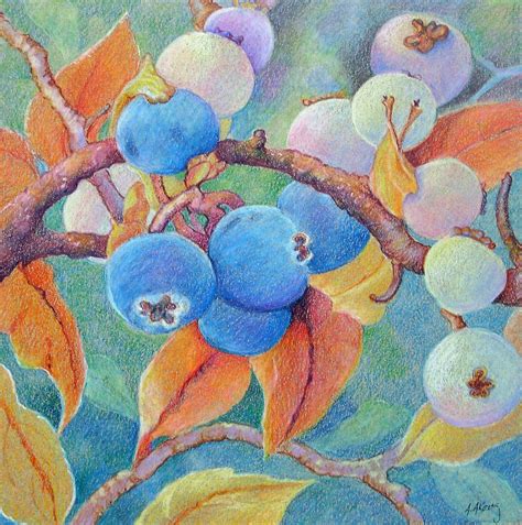 Blueberries Print Of Original Drawing 6 By 6 Inches In 2021 Art