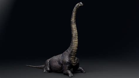 3d Model Brachiosaurus Sauropod Vr Ar Low Poly Cgtrader