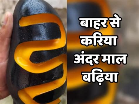 Blackie Mango Video सोशल मीडिया पर वायरल हुए इस काले आम की खूबसूरती