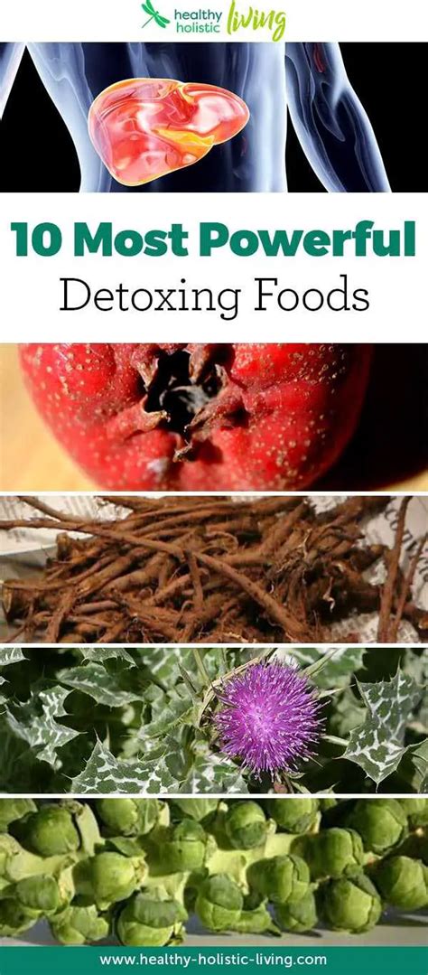 10 Powerful Foods That Naturally Cleanse Your Liver Healthy Holistic