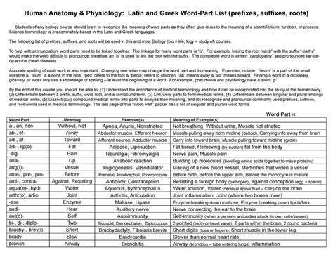 Anatomical Prefixes And Suffixes Imed1001 Uwa Studocu Anatomy Worksheets