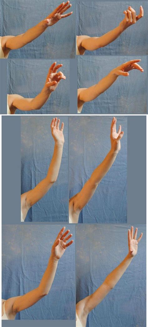 Arm Reference Photo Arm Reference Deviantart Anatomy Artists Hand