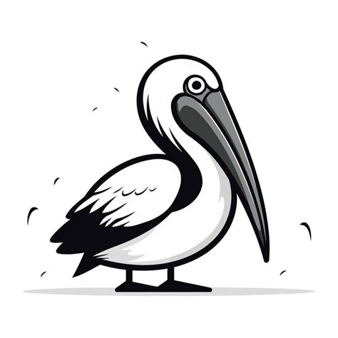 Pelicano Isolado Em Fundo Branco Ilustração Vetorial Em Estilo De