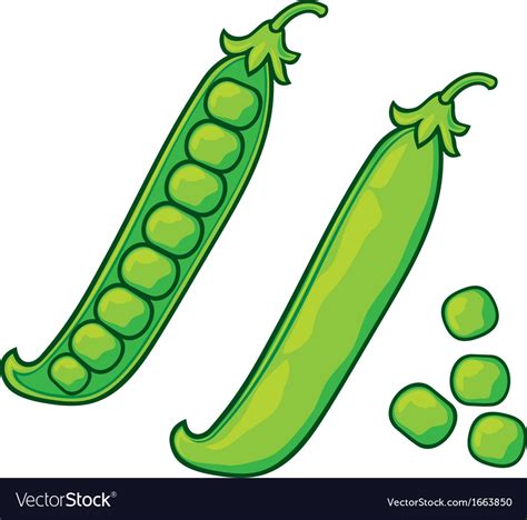 Green Peas Pea Pod Royalty Free Vector Image Vectorstock