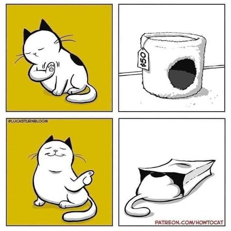 Cat S Mysteries Meme By Schizoidman Memedroid