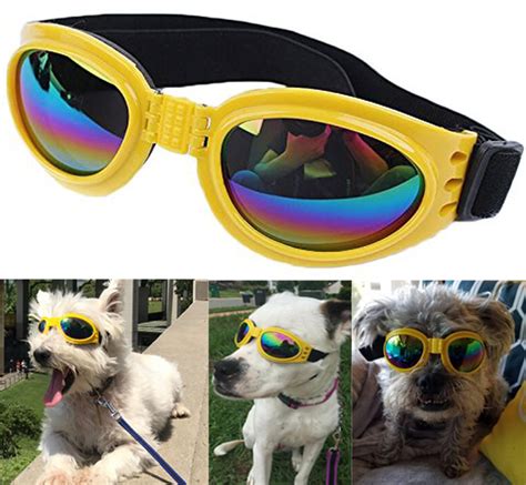 Qumy Dog Sunglasses Eye Wear Protection Waterproof Pet Goggles For Dogs