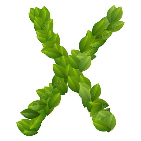 Letter X Of Green Leaves Alphabet Green Botany Letter Vector Green Botany Letter Png And