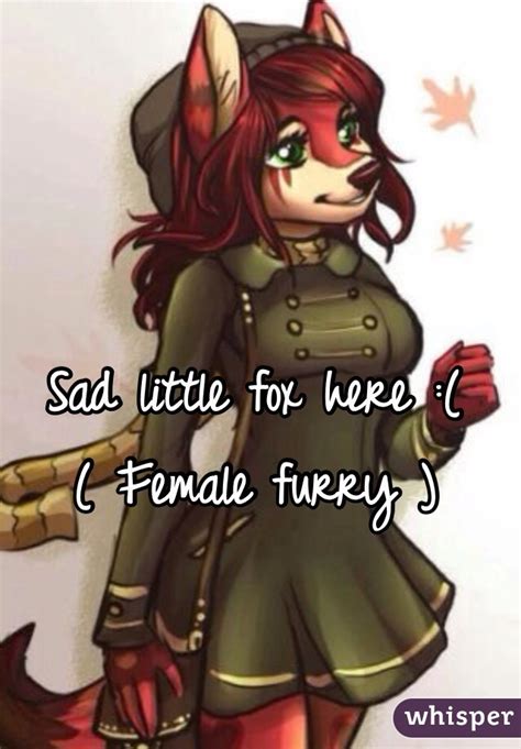 Sad Little Fox Here Female Furry