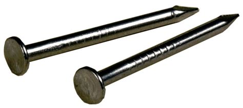 Hillman 532395 58 Inch X 18 Wire Nail At Sutherlands