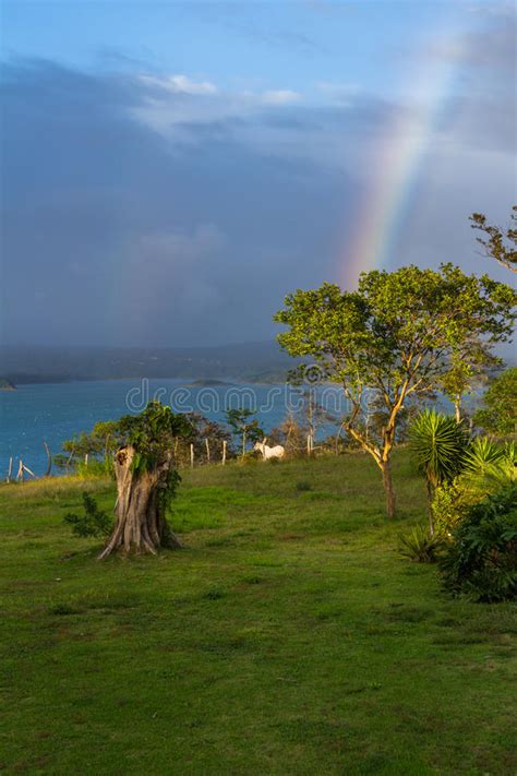 Rainbow Over The Lake Stock Image Image Of Natural Costa 93657749