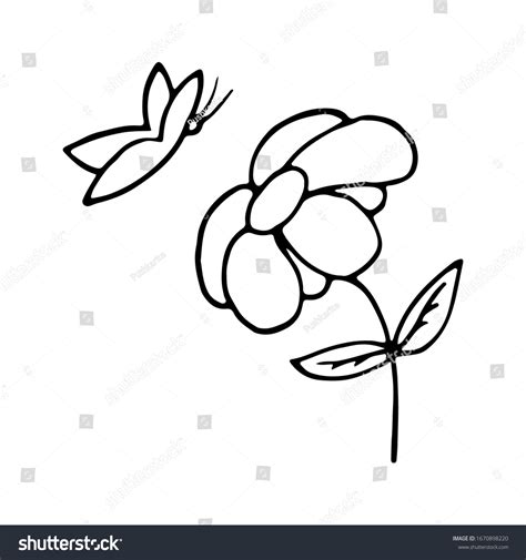 Simple Sketch Blooming Flower Butterfly Vector Stock Vector Royalty