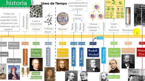 La L Nea Del Tiempo Del Microscopio Y La C Lula Evoluci N De La