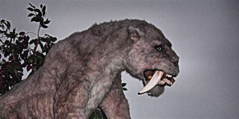 Saber Toothed Tigers And Humans Met About 300000 Years Ago At Schöningen In Present Day Germany
