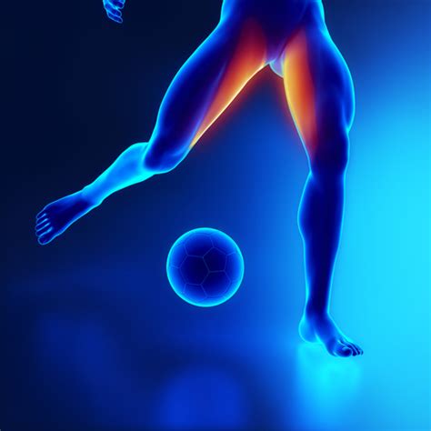Groin Strains Symptoms And Treatment