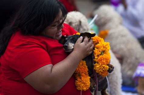 In Photos Kukur Tihar Sharing The Bond Between Man And Dog In Mexico