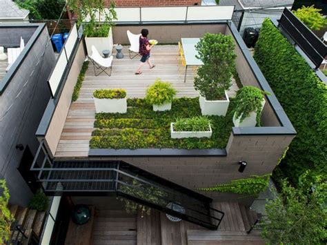 Astounding Amazing 10 Rooftop Garden Ideas For Alternative Gardening