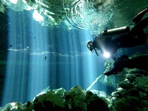 Diving Into The Underworld Of Mexicos Cenotes Panduan Bisnis Online