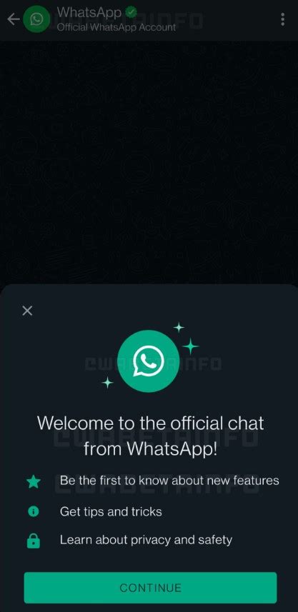 whatsapp habilitará un chat oficial para compartir noticias exclusivas de la aplicación infobae