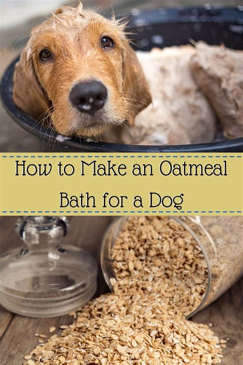 If your dog has dry, itchy skin then try an oatmeal bath ...