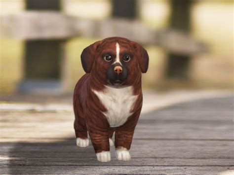 The Sims Resource Cinnamon Dog By Pinkzombiecupcakes • Sims 4 Downloads
