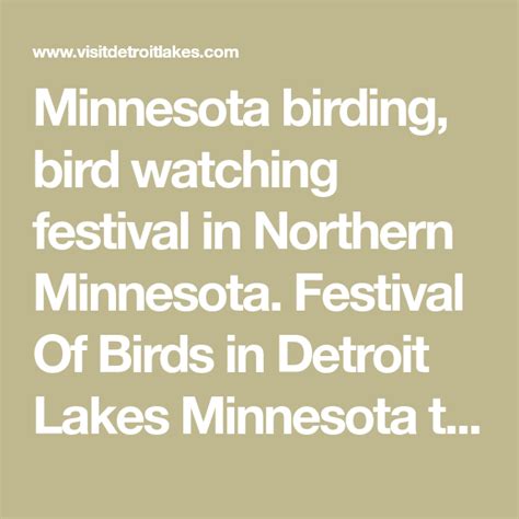 Minnesota Birding Bird Watching Festival In Northern Minnesota