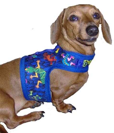 43 Dog Harness For A Dachshund Image Bleumoonproductions