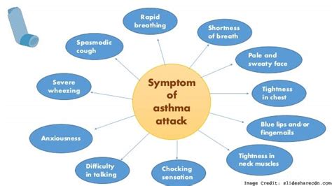 Asthma Symptoms Causes And Treatment Options To Help You Be In Control