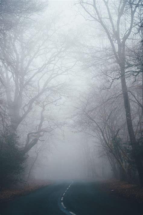 20 Best Free Fog Pictures And Stock Photos On Unsplash Fotografía De