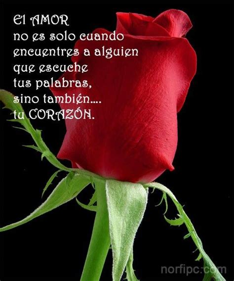 Imágenes de rosas rojas con frases de amor romanticas Frases de amor puro Frases Frases