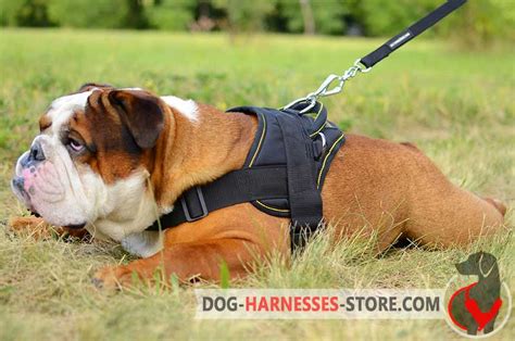 Nylon Multi Purpose English Bulldog Harness H61092 Nylon Dog