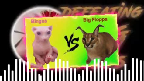 Bingus Vs Big Floppa Youtube