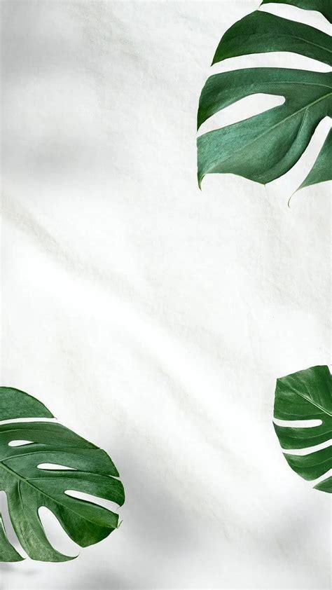 Top 999 Green And White Aesthetic Wallpaper Full Hd 4k Free To Use