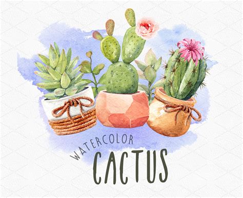 Cacti Watercolor Cactus Watercolorsucculent Clipart By Sapg Art