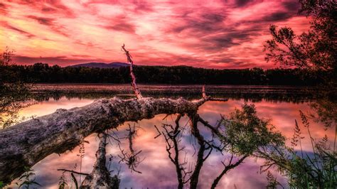 Download Wallpaper 1920x1080 Lake Sunset Trees Hdr Full Hd Hdtv