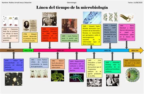 Linea Del Tiempo Microbiologia Studocu En 2023 Linea Del Tiempo