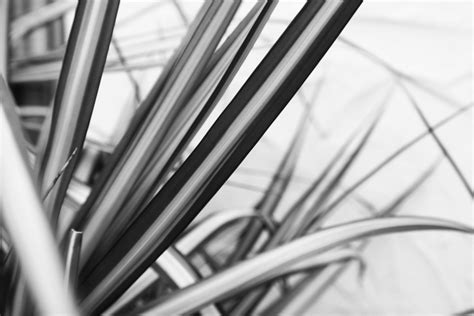 THE SPACE — LA VILLA - Kansas City Wedding and Event Venue