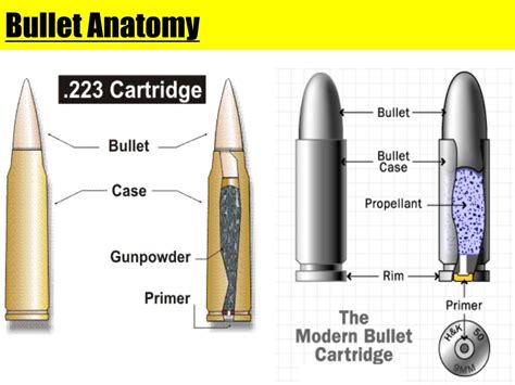 Ppt Firearms Powerpoint Presentation Free Download Id3574888